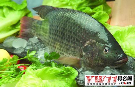 夢(mèng)見(jiàn)魚