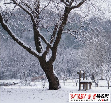 夢(mèng)見下雪