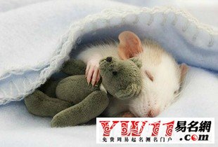最搞笑的網(wǎng)絡(luò)游戲名字，笑死人的游戲玩家角色名字大全 www.keaidian.com