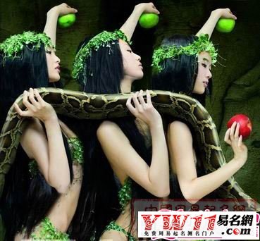 夢(mèng)見(jiàn)很多蛇解夢(mèng)