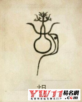 胡姓起源，胡姓的來源