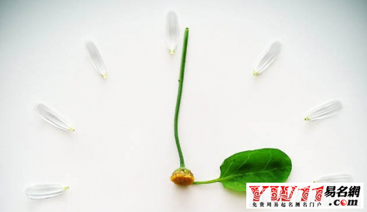 森系情侶網(wǎng)名大全，小清新的情侶名字