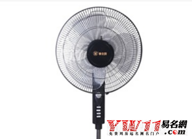電風(fēng)扇品牌起名,大牌的電風(fēng)扇品牌大全