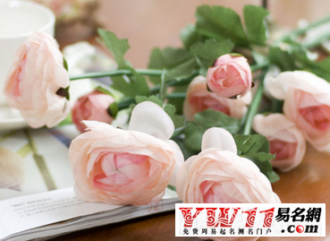 好聽(tīng)的淘寶昵稱