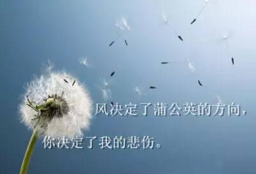 心情說說圖片
