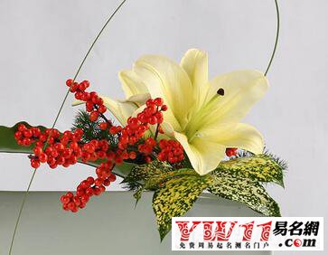 唯美的qq昵稱(chēng)大全2020最新版的