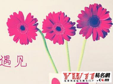 2020最新女生網(wǎng)名大全帶符號(hào)