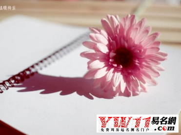 陽光點的網(wǎng)名