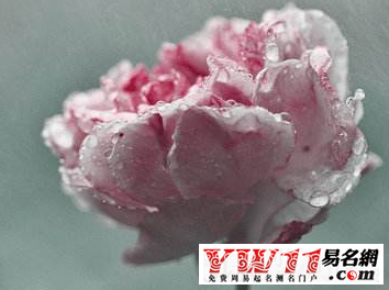 夢見下雨是什么征兆？