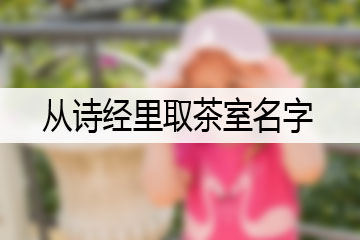 從詩(shī)經(jīng)里取茶室名字