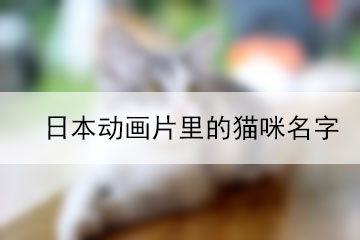 日本動(dòng)畫片里的貓咪名字