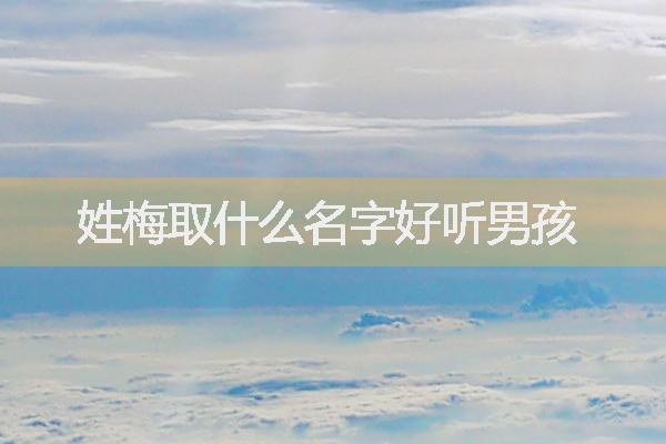姓梅取什么名字好聽(tīng)男孩
